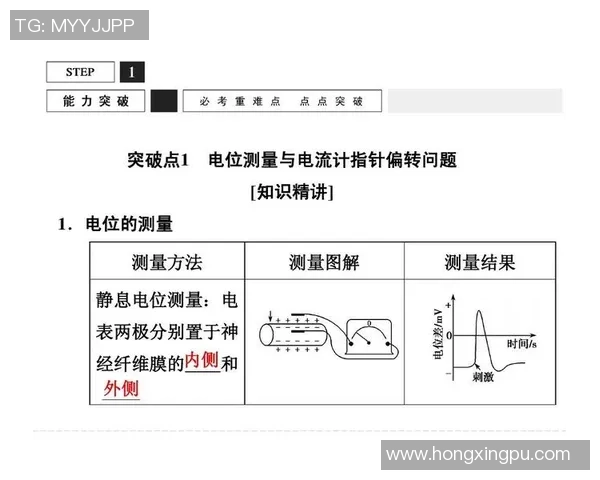 网球运动发展历程与技术创新对现代赛事竞技水平的提升分析